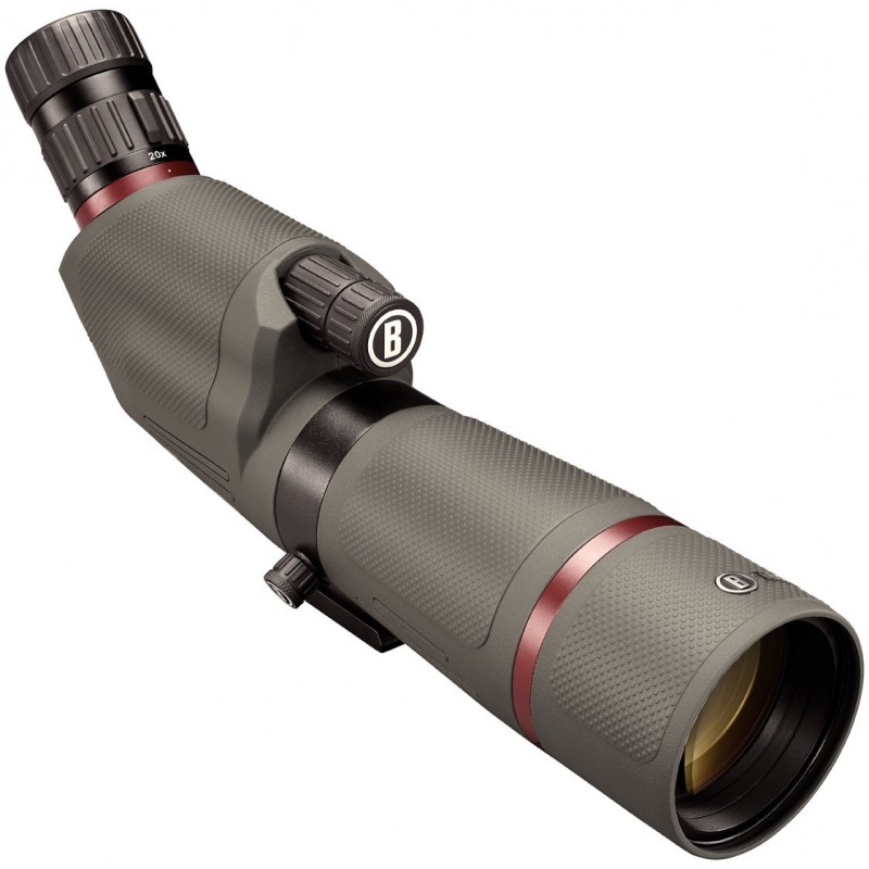 Telescopio BUSHNELL NITRO 20-60x65 - 45¬∫